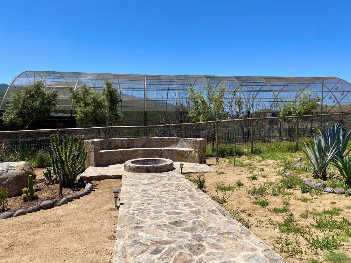 Coquenas Del Valle Valle de Guadalupe Kültér fotó