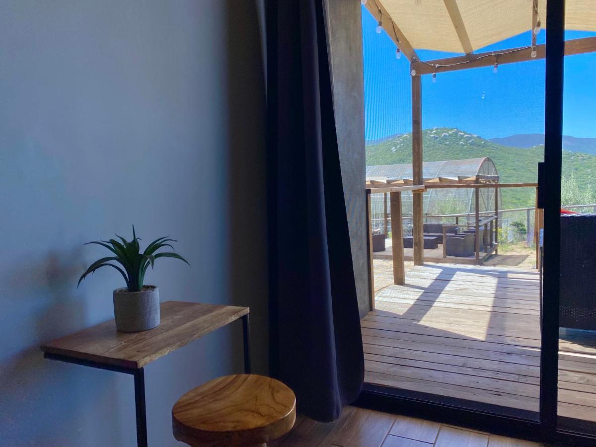 Coquenas Del Valle Valle de Guadalupe Kültér fotó