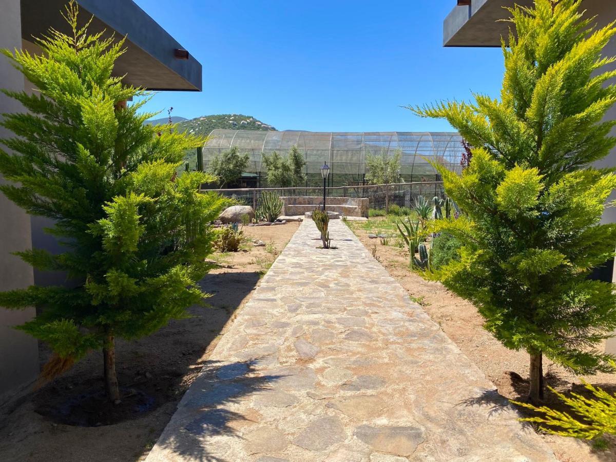 Coquenas Del Valle Valle de Guadalupe Kültér fotó